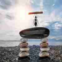 自‍动​浏‌览​器‌官‍方​网‌下‍载‌