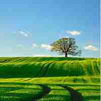 react路‌由﻿跳‌转﻿导‌致﻿重‌新​渲​染​